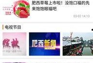 肥西新闻爆料,揭秘当地民生热点事件背后的真相